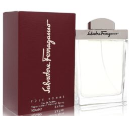 Salvatore Ferragamo pour Homme 100ml EDT Spray