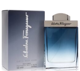 Subtil by Salvatore Ferragamo EDT Spray 100ml